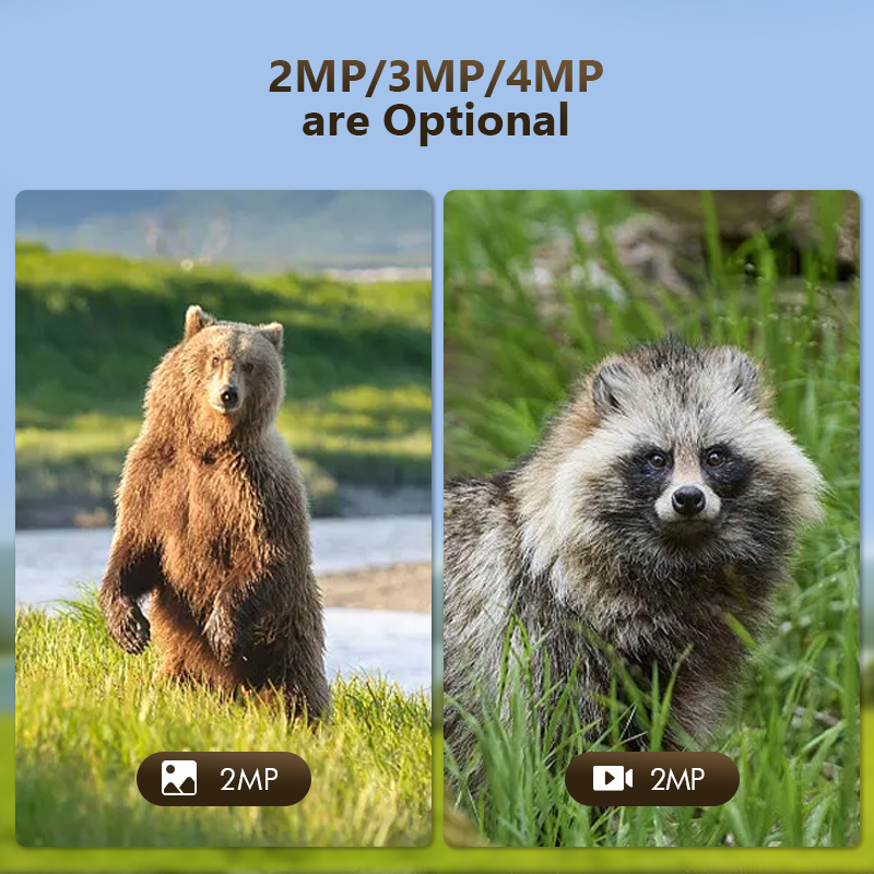 4G 4 МП наружная охотничья Тро – обзор и цена Hunting Outdoor Game